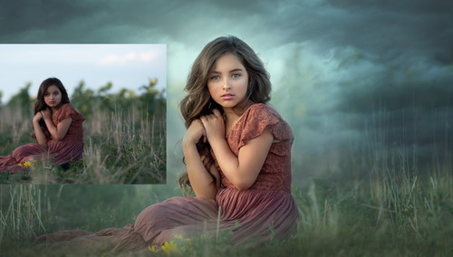 Professional digital photo - professional,